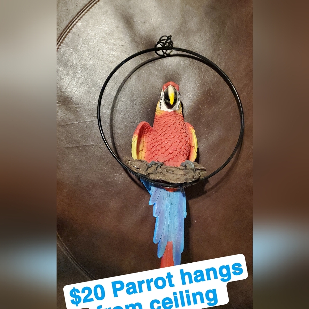 Colorful Parrot Hanging Bird
